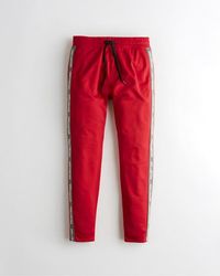 hollister track pants mens