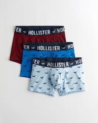 hollister underwear uk