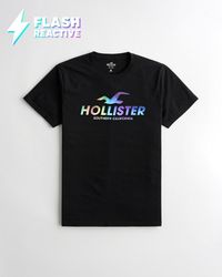 hollister clothing