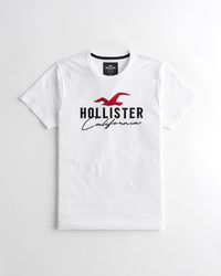 Hollister T-shirts for Men | Online 