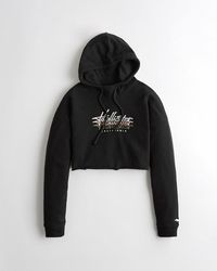 hollister terry hoodie
