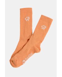 Red Run - Organic Cotton Socks - Lyst