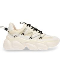 Steve Madden - Spectator Low-Top Trainers - Lyst