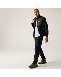 Regatta - Clumber Hybrid - Lyst