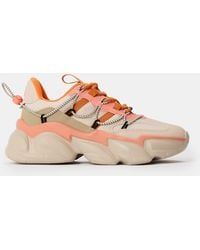 Steve Madden - Spectator Low-Top Trainers - Lyst