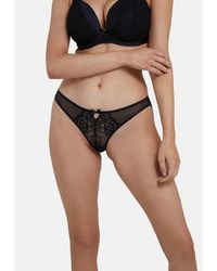 Playful Promises - Sophia Brazilian Brief - Lyst