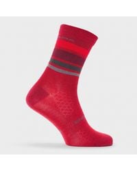 Endura - Bb Stripe Cycling Socks - Lyst