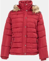 I Saw It First - Padded Jacket Ladies - Lyst