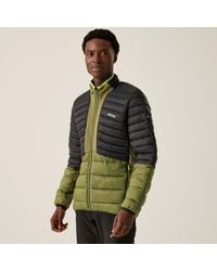 Regatta - Leedrehybrid - Lyst