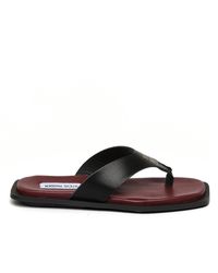 Steve Madden - Splash B Flip Flops - Lyst
