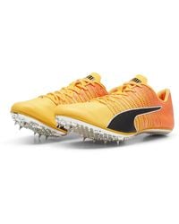 PUMA - Evospeed Brush 6 Track Running Spikes - Lyst