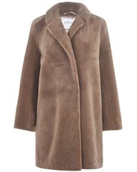 Velvet Trishelle Coat - Brown