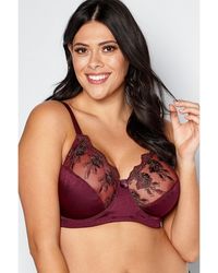Valbonne - Luxury Lace D-H Bra - Lyst