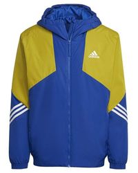 adidas - Back To Sport Hooded Jacket - Lyst