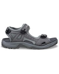 Ecco - Offroad - Lyst