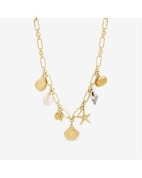 Inicio - Plated Real Shell Charm Necklace - Lyst