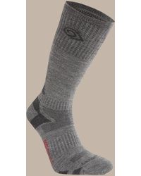 Craghoppers - Nosilife Adventure Wool Lightweight Travel Socks - Lyst