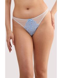 Playful Promises - Stephanie Peach & Lace Thong - Lyst
