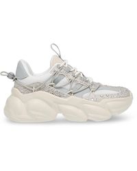 Steve Madden - Spectator Low-Top Trainers - Lyst