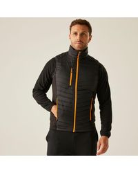 Regatta - Navigate Hybrid Bodywarmer - Lyst