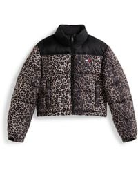 Tommy Hilfiger - Cropped Short Puffer Jacket - Lyst