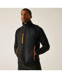 Regatta - Pro Universal Bodywarmer - Lyst