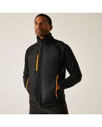 Regatta - Pro Universal Bodywarmer - Lyst