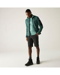 Regatta - Highton Short Walking Shorts - Lyst
