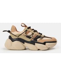Steve Madden - Spectator Low-Top Trainers - Lyst