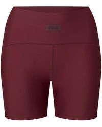 Everlast - 5In Hishine Ld64 - Lyst