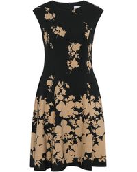 Gina Bacconi - Holli Floral Fit & Flare Dress - Lyst