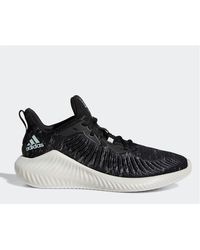 alphabounce adidas velluto