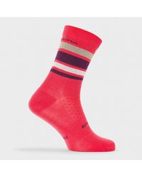 Endura - Bb Stripe Cycling Socks - Lyst