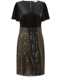 Yumi' - Velvet And Sequin Fitted Bodycon Dress - Lyst
