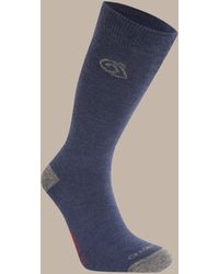 Craghoppers - Nosilife Wool Lightweight Travel Socks - Lyst