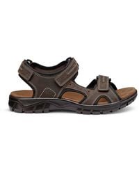 Hotter - Lorenzo Active Sandals - Lyst
