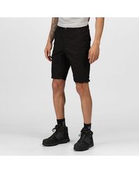 Regatta - Pro Cargo Shorts - Lyst
