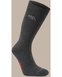 Craghoppers - Nosilife Wool Lightweight Travel Socks - Lyst