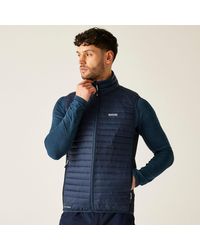 Regatta - Andreson Hybrid Water-Repellent Bodywarmer - Lyst