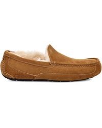 UGG - Ascot Slipper - Lyst