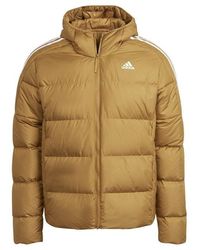 adidas - Essentials Mid Weight Down Hooded Jacket - Lyst