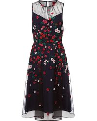 Phase Eight - Sloane Mesh Ditsy Floral Dress - Lyst