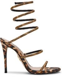 Steve Madden - Madden Exotica 105H Ld64 - Lyst