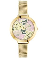 Ted Baker - Ladies Ammy Floral Watch - Lyst