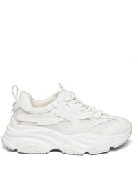 Steve Madden - Possess Trainers - Lyst