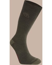 Craghoppers - Nosilife Wool Lightweight Travel Socks - Lyst