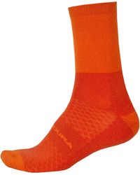 Endura - Bb Winter Cycling Socks - Lyst