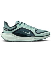 Nike - Pegasus 41 Gore-Tex Waterproof Road Running Shoes - Lyst