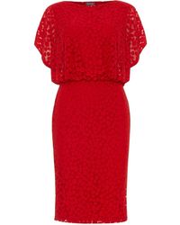 phase eight petra burnout dress