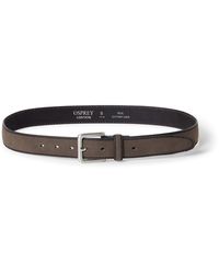 Osprey - Osprey Dickens Belt - Lyst